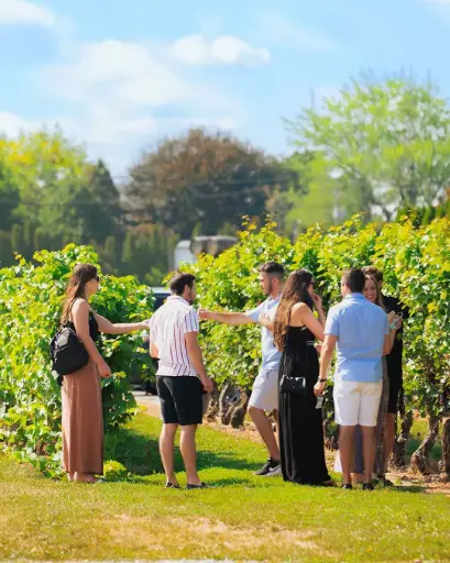 Canada, Ontario, Pillitteri Estates Winery - The Grand Estate Tour