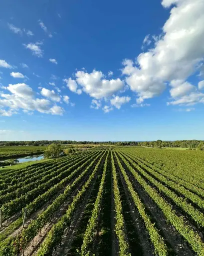 Canada, Ontario, Flat Rock Cellars - Taste The Terroir