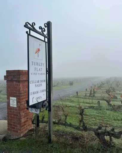 Australia, Barossa Valley, Turkey Flat Vineyards - Turkey Flat Vineyards Visit and Wine Flight