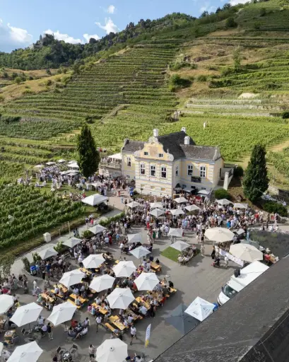 Austria, Lower Austria, Domäne Wachau - Estate Tour & Wine Tasting