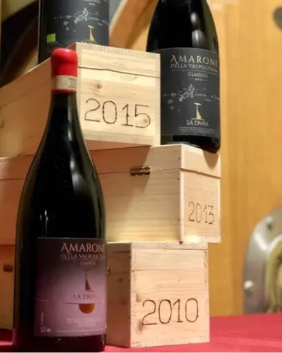 Italy, Veneto, La Dama S.S.A. - Vertical of Amarone