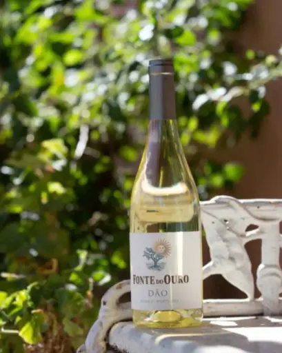 Portugal, Dao, Boas Quintas - Fonte do Ouro