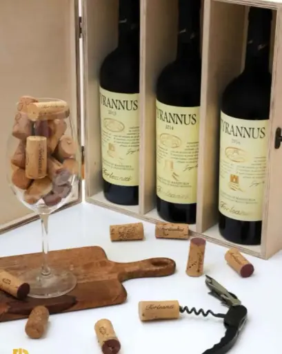 Italy, Apulia, Torleanzi Masseria Wine Relais - Sommelier Wine Experience