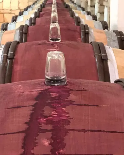 Austria, Burgenland, Weingut Umathum - Vineyard & Cellar Tour