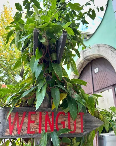 Austria, Burgenland, Weingut Peter Schandl - Wine Tour at Weingut Schandl