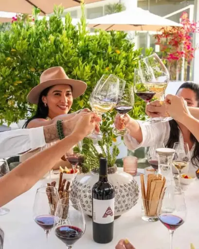 US, California, Napa Valley, Artesa Winery - Taste of Artesa 