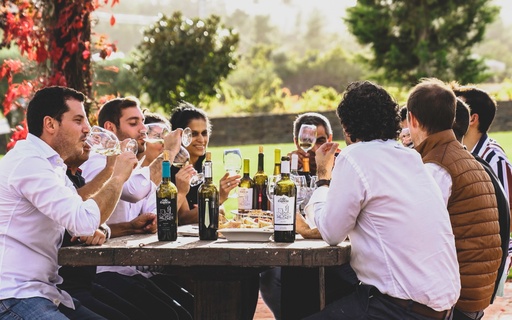 Portugal, Douro, Quinta Vale d'Aldeia - Deluxe, Wine & Music