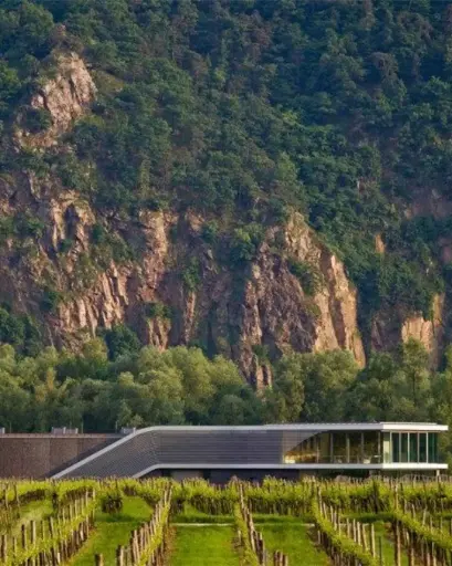 Austria, Lower Austria, Weingut F.X. Pichler - Wine tasting