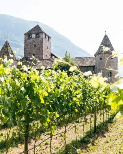 Italy, Trentino - Alto Adige, Kellerei Bozen - Cantina Bozen - Guided tour and wine tasting