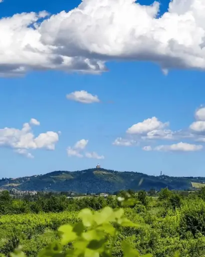 Italy, Emilia-Romagna, Bologna - Boutique Winery Tour with Wine Tasting & Food in Bologna