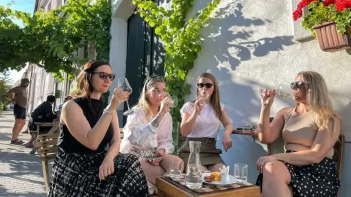 Slovakia, Organic Wine Tasting in Bratislava