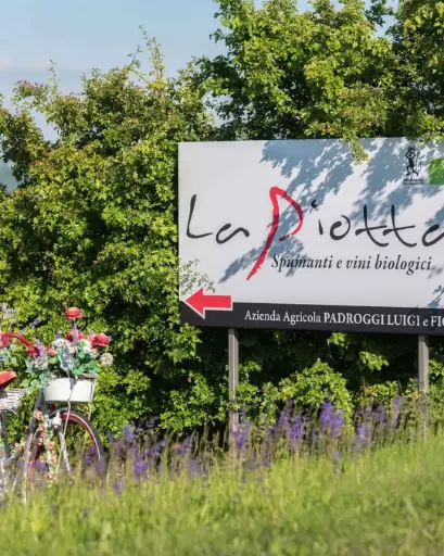 Italy, Lombardy, Pavia - Organic Winery Visit & Wine Tasting with Food in Pavia