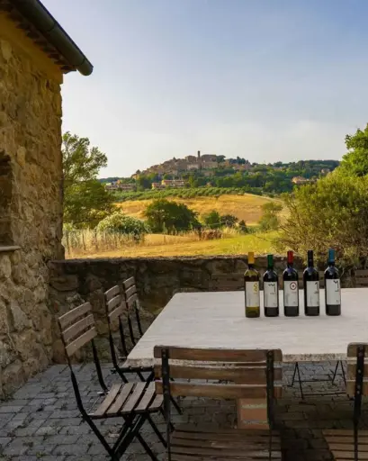 Italy, Tuscany, Livorno - Winery Tour & Wine Tasting with Food near Livorno & Pisa