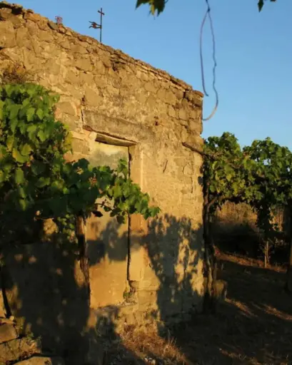 Italy, Lazio, Rome - Wine Tasting & Medieval Town Visit at Castelli Romani