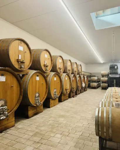 Italy, Piedmont, Massimo Rivetti - Vineyards and cellar Tour with Food and Wine Pairing