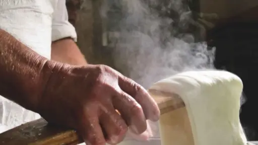 Italy, Tuscany, Say Cheese! Mozzarella Making & Wine Tasting In The Heart Of Florence