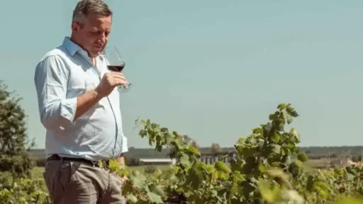 Italy, Apulia, Taranto - Vineyard Walk and Tasting at a Masseria Winery in Taranto