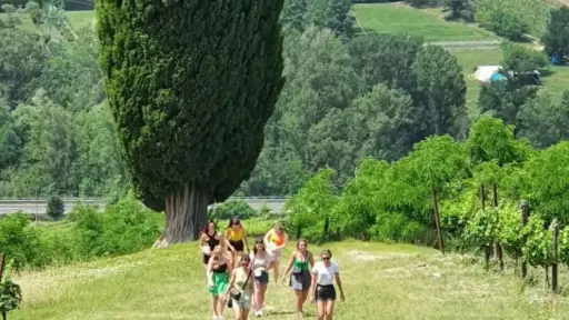 Italy, Emilia-Romagna, Bologna - Organic Winery Visit with Wine & Food Tasting in Bologna