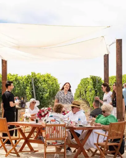 Bulgaria, Danube Plains, Bononia - Wine tasting in the vineyard