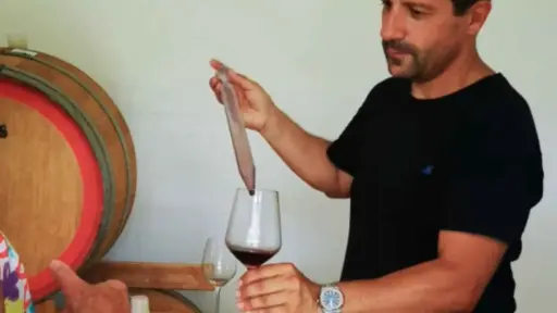 Italy, Sardinia, Cagliari - Boutique Winery Tour with Wine & Food Tasting near Cagliari