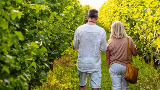 Italy, Emilia-Romagna, Ravena - Winery Visit with Wine & Food Tasting near Ravenna