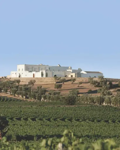 Italy, Apulia, Masseria Amastuola - Visit and Tasting with light lunch/dinner