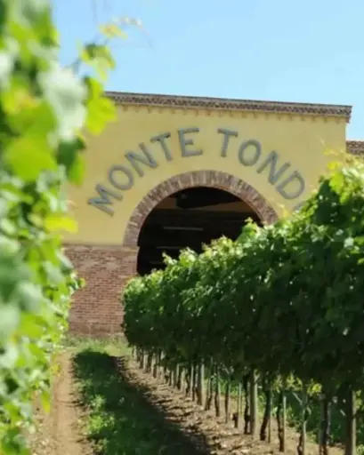 Italy, Veneto, Monte Tondo - Two overnights plus wine tasting