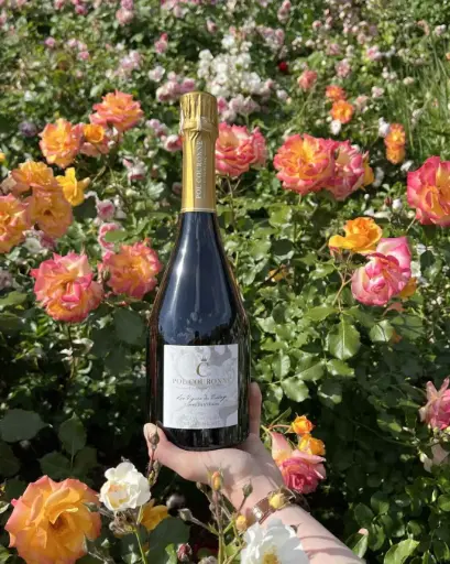 France, Champagne, Pol Couronne - Masterclass