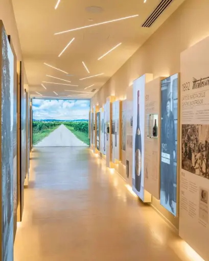 Italy, Veneto, Cantine Giacomo Montresor - Colors and flavors of Lake Garda