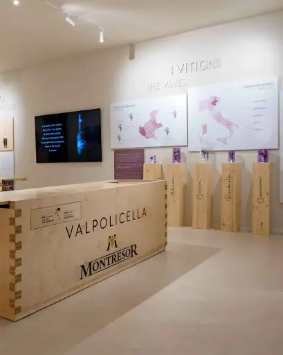 Italy, Veneto, Cantine Giacomo Montresor - White still and sparkling wines from Veneto Tour and Tasting