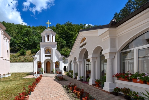 Serbia, Fruska Gora, From Novi Sad - Fruska Gora Wine Tour