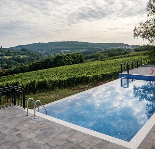 Serbia, Sumadija - Wine break at Winery Aleksandrovic - Villa Meterize
