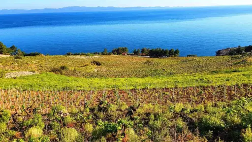 Croatia, Dalmatia, From Dubrovnik - Peljesac Essential (classic) Private Wine Tour