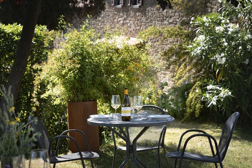 Italia, Toscana, Buccia Nera - TOUR DEL VINO E DEGUSTAZIONE - QUATTRO COLORI