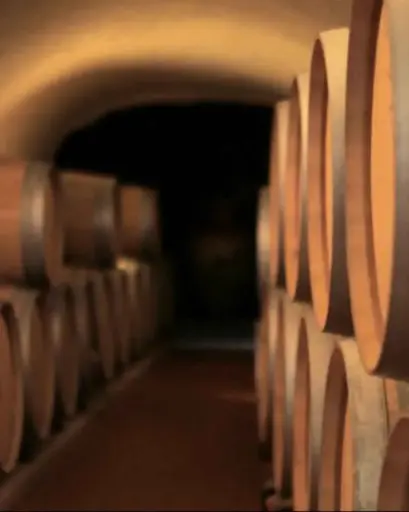 Italy, Basilicata, Elena Fucci - Discover Titolo World & Food Pairing