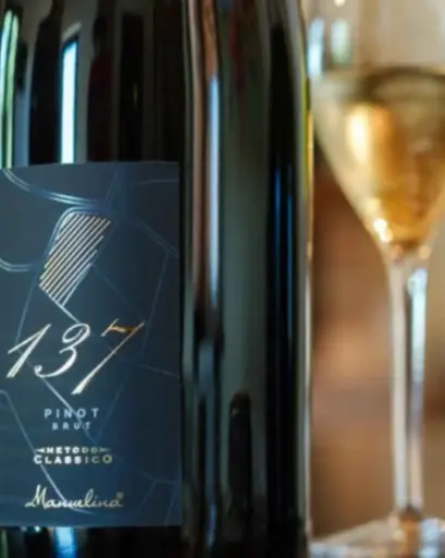 Italy, Lombardy, Manuelina vini - Bubbles Winetasting