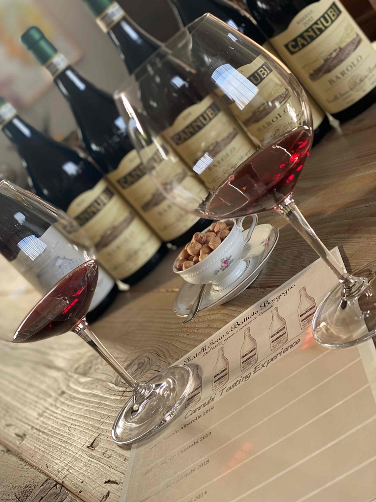 Italy, Piedmont, Fratelli Serio & Battista Borgogno - Langhe Tasting Experience.