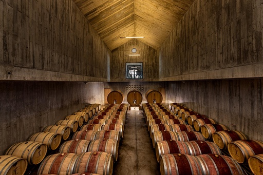 Portugal, Alentejo, Torre de Palma - 3 Wines Tasting with Regional Products