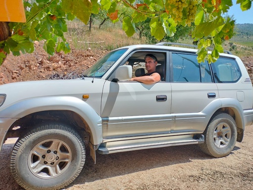 Portugal, Douro, From Torre de Moncorvo - Douro's Wine Tasting Tour