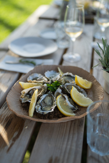 Portugal, Algarve, Morgado do Quintão - A Bottle of White Wine, Oysters @ Sunset