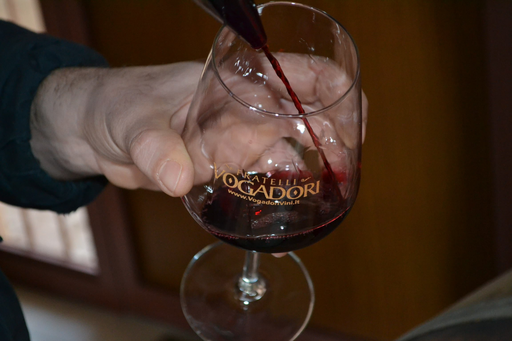 Italy, Veneto, Fratelli Vogadori - Amarone Experience, meet the Vogadori Family