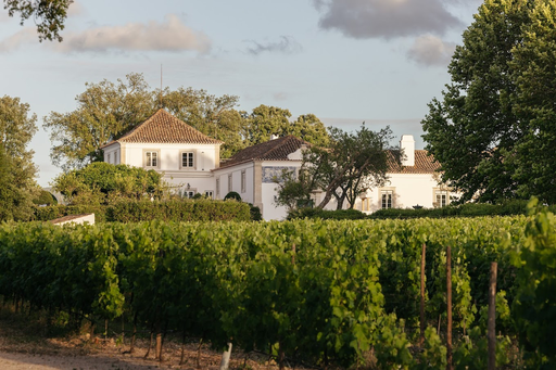 Portugal, Setubal, Herdade do Perú - Tractor Trails & Tasting Tales - wine tasting with tractor ride through the vineyards