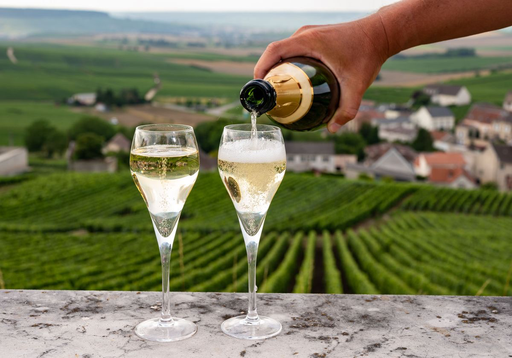 Portugal, Douro, From Porto - Douro Wine & Sparkling Tour