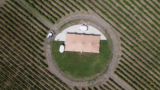 Italy, Lazio, Cantine Capitani - Corporate & Group Tour and Tasting