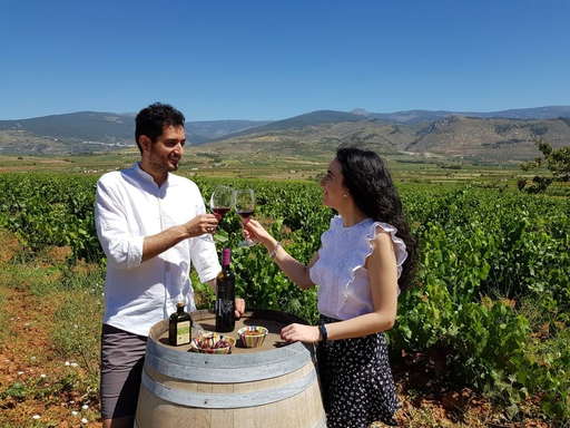 Spain, Andalusia, Cortijo El Cura Eco-Bodega - Wine tour in La Alpujarra - Almería with local tasting
