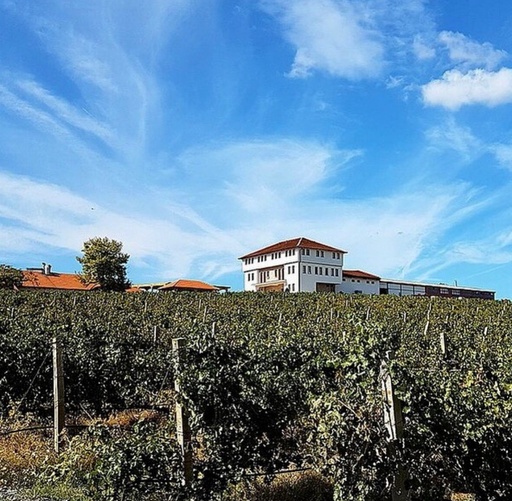 North Macedonia, Vardar Valley, Chateau Sopot - Perfect pairing of wine, food, and vineyard shine