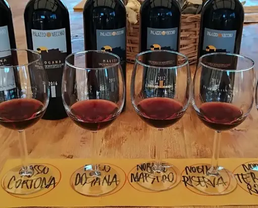 Italy, Tuscany, Palazzo Vecchio - Visit and tasting of 3 wines