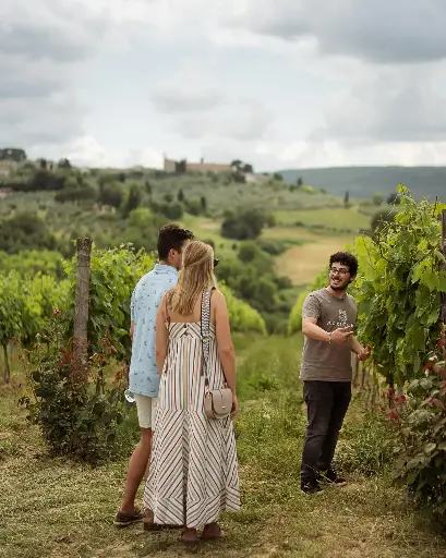 Italy, Tuscany, Pietraserena - Tasting of 3 wines with Tour of Vineyards and Cellar