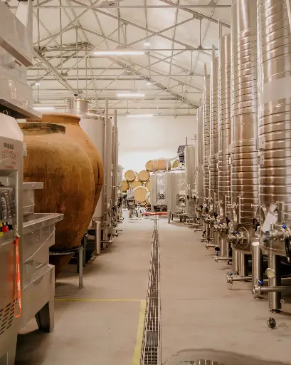 Portugal, Dao, Textura Wines - Tasting Textura with visit the winery