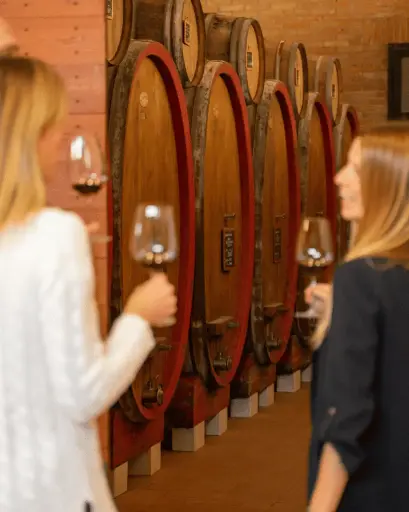 Italy, Veneto, Le Bignele Winery -  The Wine Art
